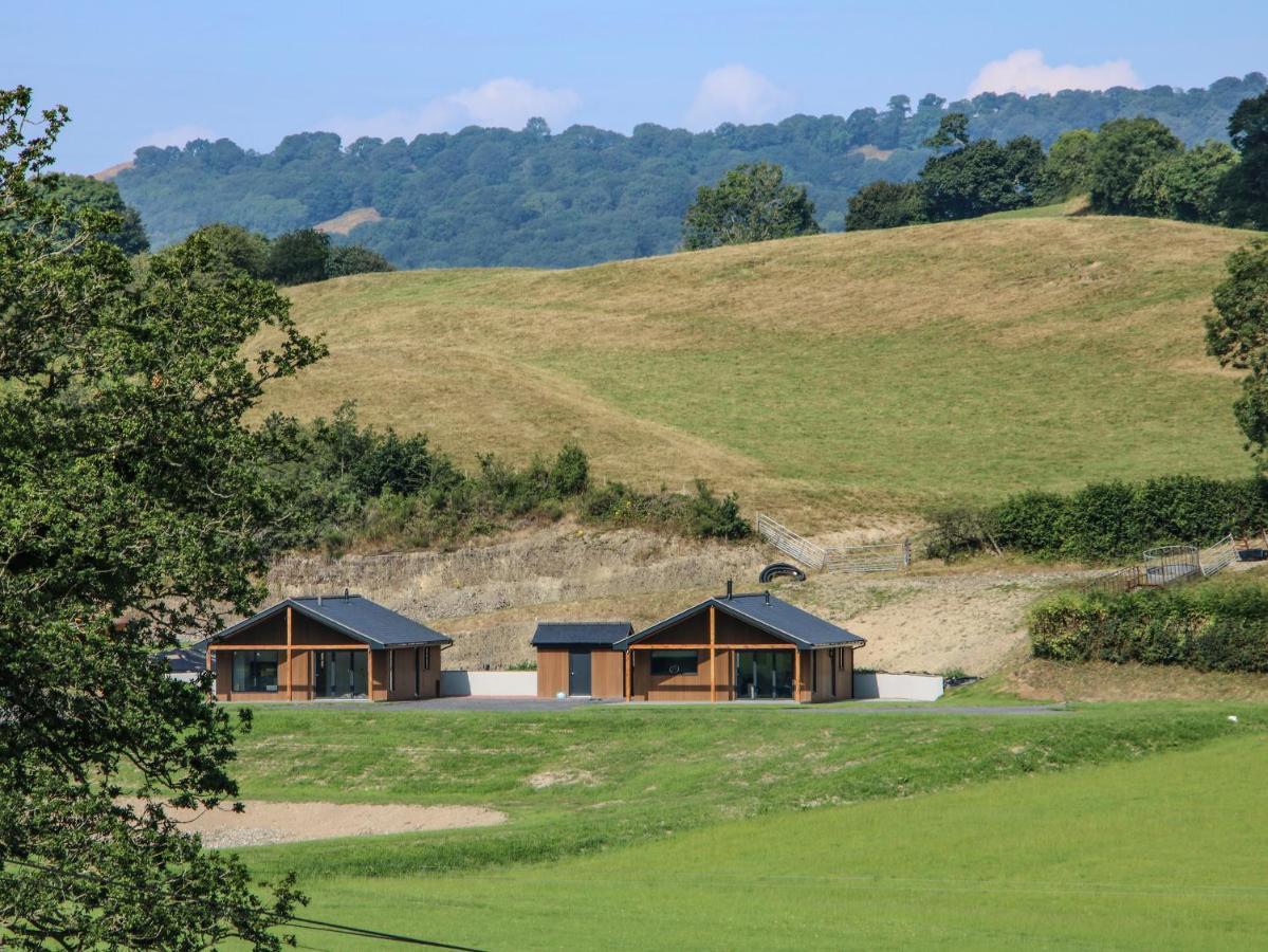 Villa Meadow View Meifod Exterior foto